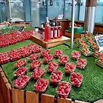 Apartmán T3 Avec Superbe Terrasse, Coin Prise De